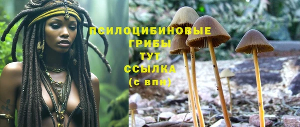 мескалин Алексеевка