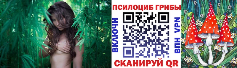 Галлюциногенные грибы прущие грибы  Фролово 