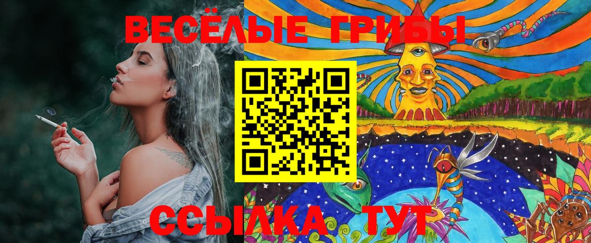 Галлюциногенные грибы GOLDEN TEACHER  Вход с VPN  Фролово 