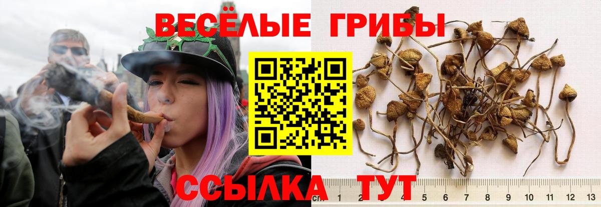 Галлюциногенные грибы GOLDEN TEACHER Фролово